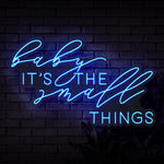 Baby It's The Small Things Neon Sign